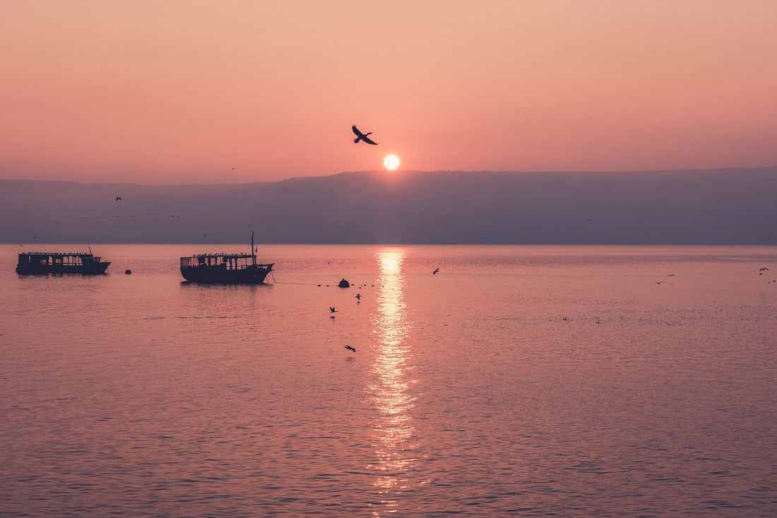 Some Good News: After Years of Drought, the Sea of Galilee is Full