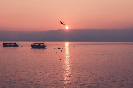 Some Good News: After Years of Drought, the Sea of Galilee is Full